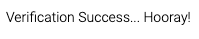 Verification Success ReCaptcha